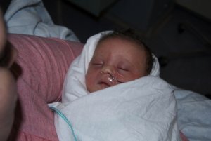 14744_356904950105_665770105_10068168_2745775_n